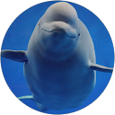 Random Events profile picture